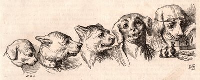 Evolutie van een hond naar een menselijke vorm door Unknown