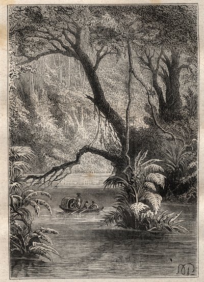 Expeditie naar Amerika (1799-1804) door Alexander von Humboldt (1769-1859) en Aime Bonpland (1773-1858): de ontdekkingsreizigers dalen de Orenoque af, omringd door de gigantische bomen van het Amazonewoud (Cano Pimichin, Venezuela) - illustratie uit 