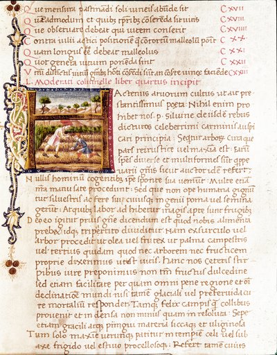 Boeren die wijngaarden planten (miniatuur) door Unknown artist