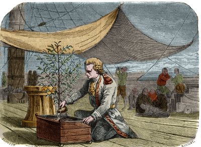 Geschiedenis van het café: Kapitein Gabriel de Clieu (Declieux, Desclieux) (1687/1678- circa 1774), in opdracht van koning Lodewijk XIV in 1725 om een koffieplant naar Martinique te brengen, deelt zijn waterrantsoen met hem om hem te redden van uitdroging. door Unknown artist