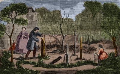 Tuinbouw: belangrijkste methoden van plantentransplantatie. Gravure uit 1860 door Unknown artist