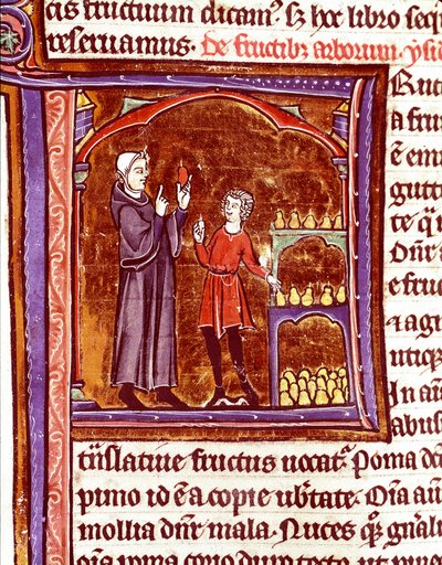Hoe peren op te slaan Miniatuur uit het manuscript 