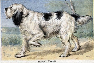 Jachthond: Stop Barbet door Unknown artist