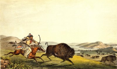 Bizonjacht in Noord-Amerika, 19e eeuw door Unknown artist