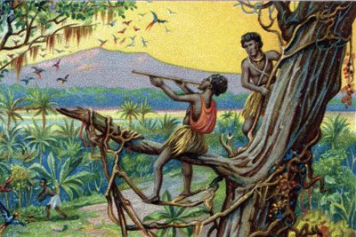Jachttechniek. Jagen op kolibries in de Polynesische archipel: de inwoners gebruiken beten. door Unknown artist