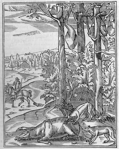 Jacht op de wolf: de uitkijk. Facsimile van een 16e-eeuwse houtsnede. Gravure in La Nature: revue des sciences et de leurs applications aux arts et a l