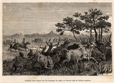 Inheemse baris (bevolking van Soedan) wapens van bogen en pijlen, op de vlucht met de kuddes die door Sir Baker in beslag zijn genomen, om te voorkomen dat ze andere stammen in de regio aanvallen, om ze te plunderen en tot slaaf te maken, een gravure die e door Unknown artist