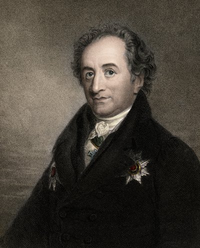 Johann Wolfgang von Goethe 1749-1832 - gravure - 19e eeuw door Unknown artist