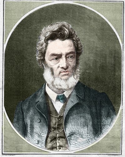 Jules Favre (1809-1880), Franse politicus en advocaat. door Unknown artist