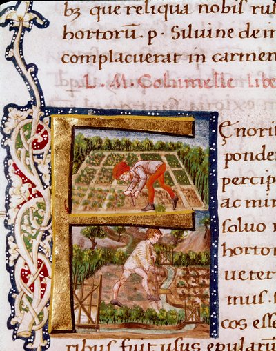 Lettrine F uit het hoofdstuk over tuinbouw: scènes van strandingen en irrigatie. Miniatuur uit “De re rustica” door de agronoom Lucius Iunius Moderatus Columella (1e eeuw) (Ms.E-39). 15e eeuw. Rome, Biblioteca Vallicelliana door Unknown artist