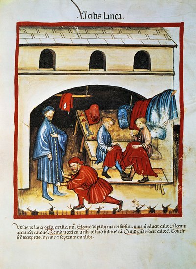 Fabricage en gebruik van wollen kleding door Unknown artist