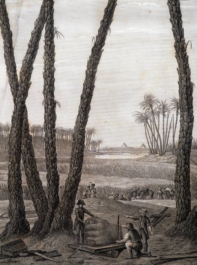 Memphis, uitzicht op de ruïnes (wetenschappers en werkende kunstenaars) - in 