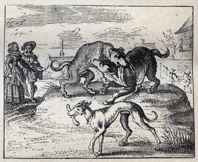 Oud Engels spreekwoord: twee honden vechten om een bot en de derde neemt het weg door Unknown artist
