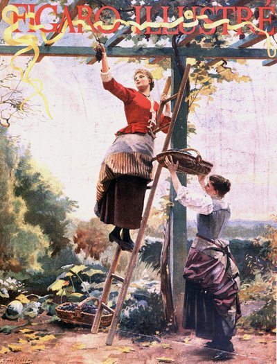 Druiven plukken in hangende wijnstokken - in Figaro illustré, okt. 1891 door Unknown artist