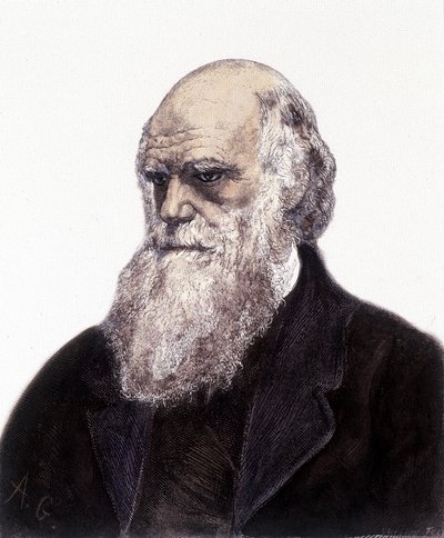 Portret van Charles Robert Darwin, Britse natuuronderzoeker (1809-1882) door Unknown artist