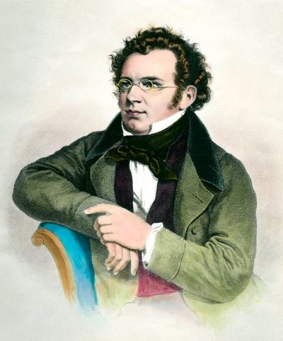 Portret van Franz Schubert (1797-1828), Oostenrijkse componist. Gravure uit de 19e eeuw. Privécollectie door Unknown artist