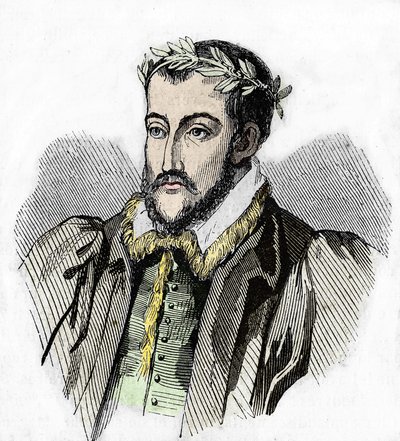 Portret van Joachim du Bellay. Franse dichter (Château du Liré, Maine-et-Loire) door Unknown artist