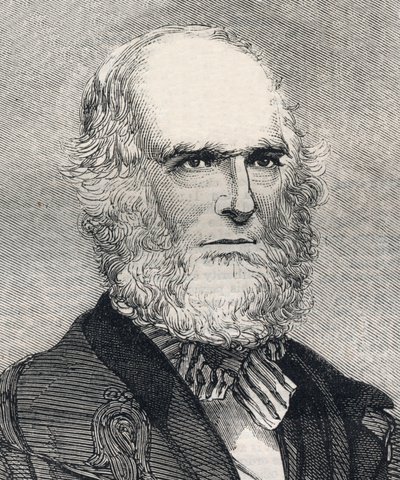 Portret van William Cullen Bryant (1794-1878), Amerikaanse dichter. Gravure in 