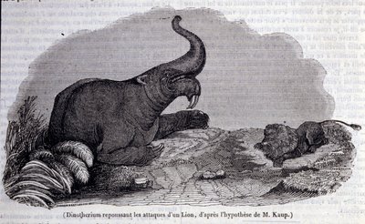 Prehistorie: voorstelling van een Dinotherium, een soort pachyderm, die een leeuwaanval afweert. Gravure uit de 19e eeuw door Unknown artist