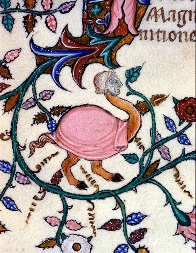 Voorstelling van een monster met een struisvogellichaam en een mensenhoofd. Miniatuur van een 14e-eeuws manuscript. Milaan, Biblioteca Nazionale Braidense. door Unknown artist