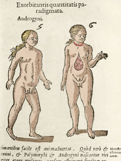 Voorstelling van een androgyn en een hermafrodiet. Plaat uit 