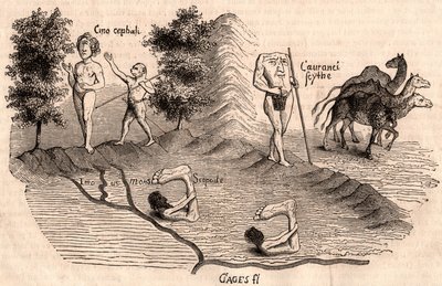Voorstelling van middeleeuwse stammen en diersoorten: Monocules, Blemmys, Sciopodes en kamelen door Unknown artist