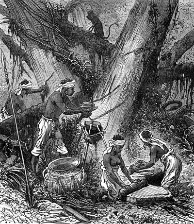 Rubberoogst in Maleisië Bos (gravure door Unknown Artist