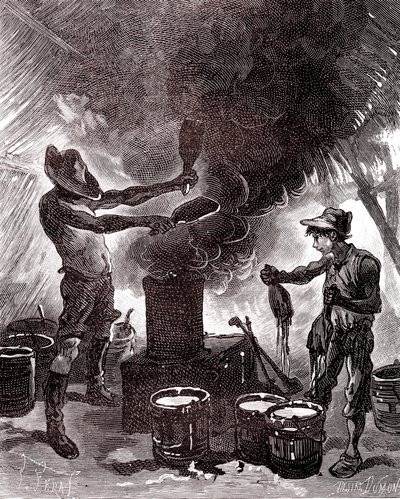 Rubberbereiding of vulkanisatie in het Braziliaanse bos door Unknown artist