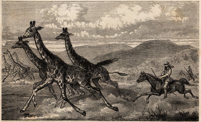 Samuel W. Baker op giraffenjacht in Centraal-Afrika in de regio van de Boven-Nijl door Unknown artist