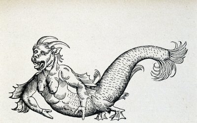 Zeeduivel, zogenaamd gevangen in de Adriatische Zee aan het begin van de 15e eeuw - volgens Gesner door Unknown artist