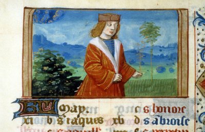 Teken van Tweelingen en Man in de Velden - Miniatuur, Middeleeuwen: Toestemming vragen aan de Gemeentelijke Bibliotheek van Toulouse door Unknown artist