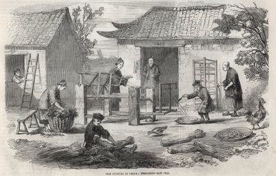 Zijdeproductie in China en de verschillende stadia van de fabricage door Unknown artist