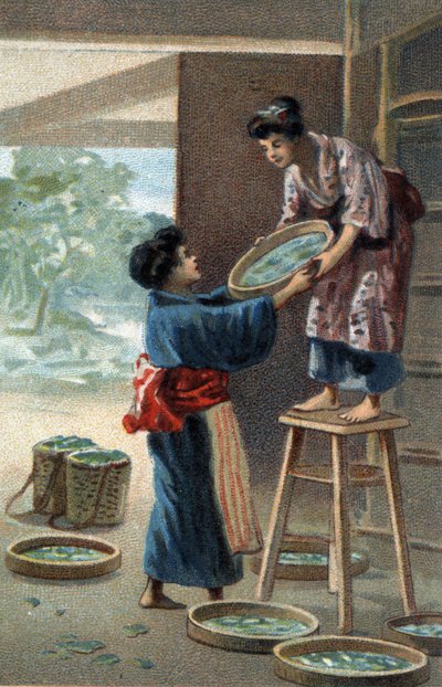 Zijderupskweek in een Japanse magneet. Chromolithografie van het einde van de 19e eeuw door Unknown artist