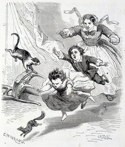 Sophie en de eekhoorn - in 