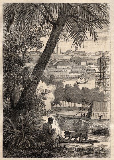 De Expeditie naar de Zuidelijke Landen (1800-1803) door Nicolas Baudin (1754-1803): Uitzicht op Sydney (Australië) - illustratie uit 