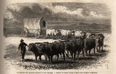 De grote vlaktestier en zijn trek. Gravure ter illustratie van de reis naar het verre westen van Amerika, door M. L. Simonin, in 1867, gepubliceerd in 