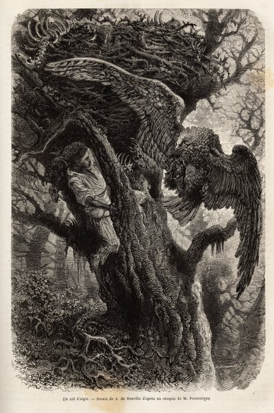 De adelaar die zijn nest beschermt tegen de indringer. Gravure ter illustratie van het verhaal Quatre mois en Florida, door M. Pousselgue, in 1851-1852, gepubliceerd in 