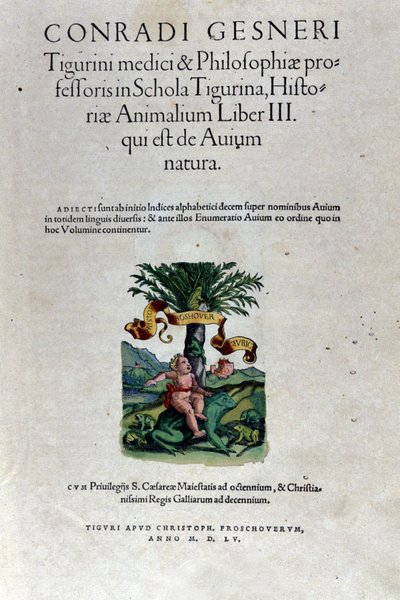 Het frontispice van het derde deel door Historia Animalium door Conrad Gesner (1516 - 1565), Tiguri door Unknown artist