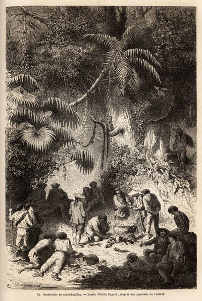 De voorbereiding van een maaltijd in het ongerepte bos in de Caravaya-vallei (Andes cordilliere), een boa constrictor met korte bouillon. Gravure ter illustratie van de reis in de valleien van Quinquinas (Peru), door Paul Marcoy, in 1849-1861, gepubliceerd door Unknown artist