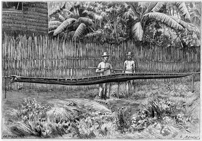 De huid van een Python slang, 6,60 m lang, gevangen op de Filipijnen. (Van een foto). Gravure in "La Nature: revue des sciences et de leurs applications aux arts et a l