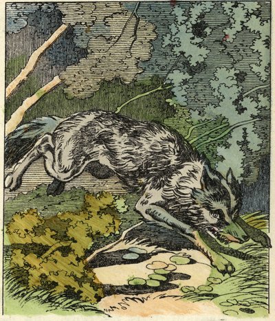 De wolf rent naar het huis van oma. Illustratie van het sprookje 