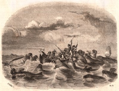 Gezicht op een groep Engelse zeelieden die een kudde walrussen achtervolgen in 1818 voor de kust van Spitsbergen door Unknown