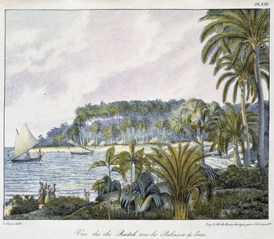 Uitzicht op de Radak-eilanden van de Marshalleilanden archipel door Unknown artist