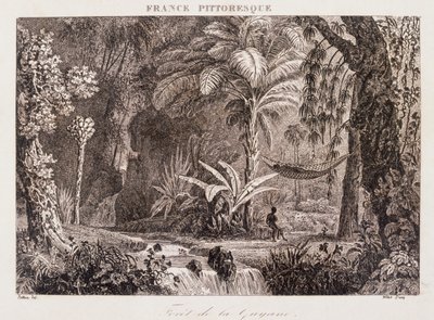 Gravure die de Franse kolonie Guyana in Zuid-Amerika afbeeldt 1850 door Unknown artist