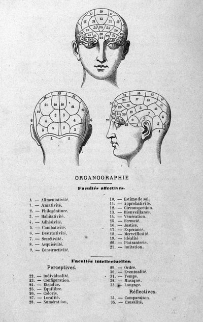 Illustratie uit Charles Rouvins boek van 1873 Organographie La Tête humaine, geïllustreerde studies van frenologie en fysiognomie toegepast op beroemde personages Parijs 1873 door Unknown artist