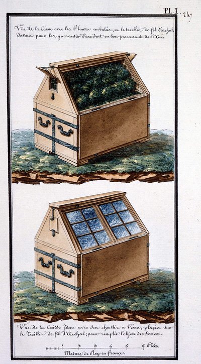 1. Uitzicht op de doos met verpakte planten, en archal draadgaas bovenop: om ze te beschermen tegen ongevallen door lucht te voorzien. Uitzicht op het lichaam hetzelfde met zijn glazen frames, geplaatst op het archal draadgaas: om het doel van de serres te door Unknown artist