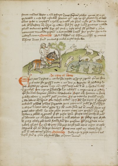 Een jager te paard op hazenjacht door Unknown artist