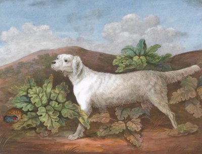 Een Setter: Naar Links, met een Patrijs die zich Verbergt tussen Klisplanten aan de Linkerkant door Unknown artist