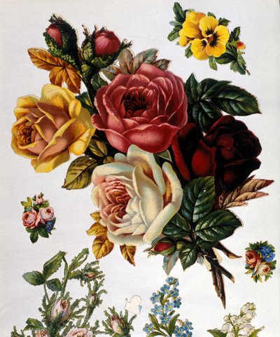 Een boeket rozen. 19e-eeuwse chromolithografie. door Unknown artist