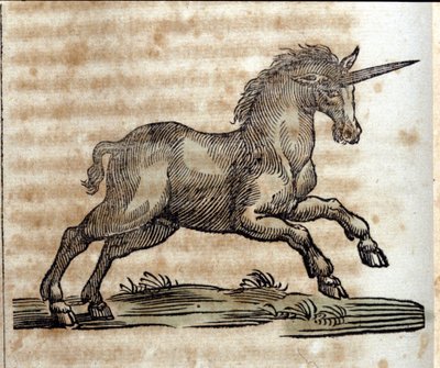 Eenhoorn, mythisch dier - Gravure uit een werk van Athanasius Kircher door Unknown artist